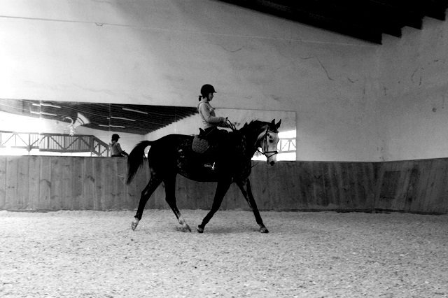 jamnik ;*