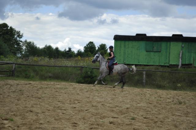 Wpis horsewomanroxy