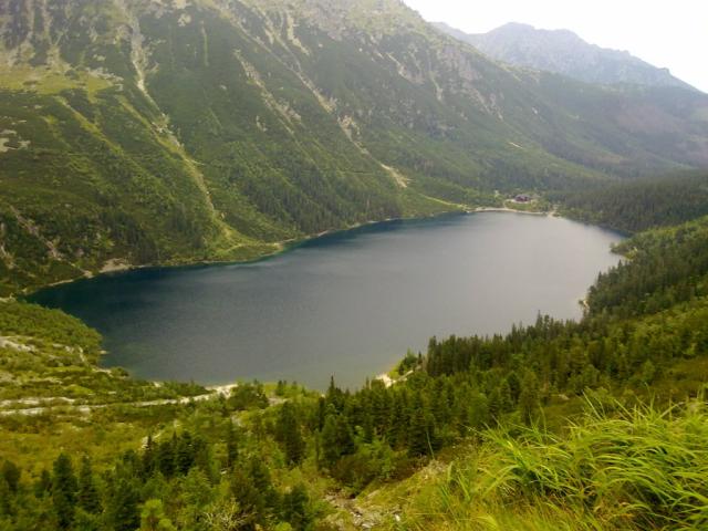 Wpis michal1592
