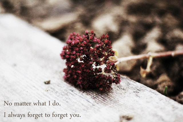 forget you