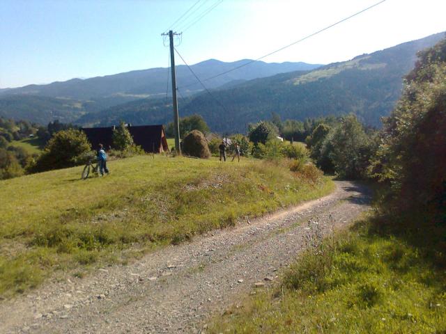 Wpis zagubionawlesie