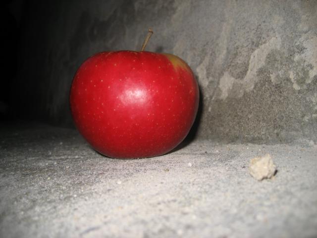 28.