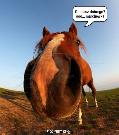 komentarze