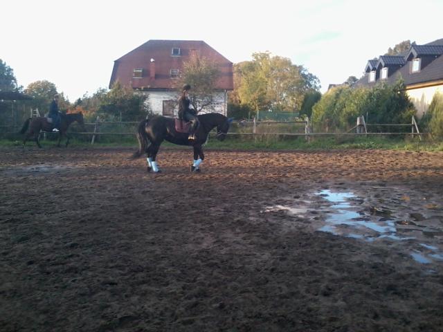 Wpis miedwianscy