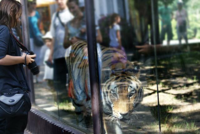 Zoo