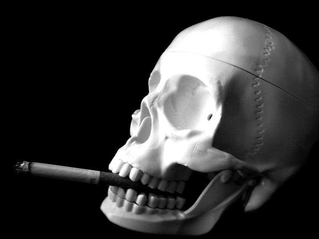 Skull