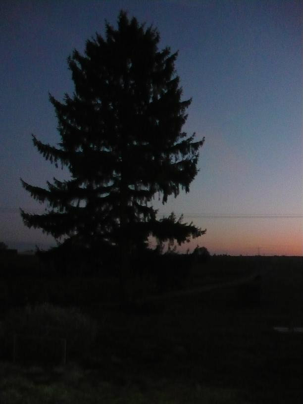 coraz mniej mnie we mnie..