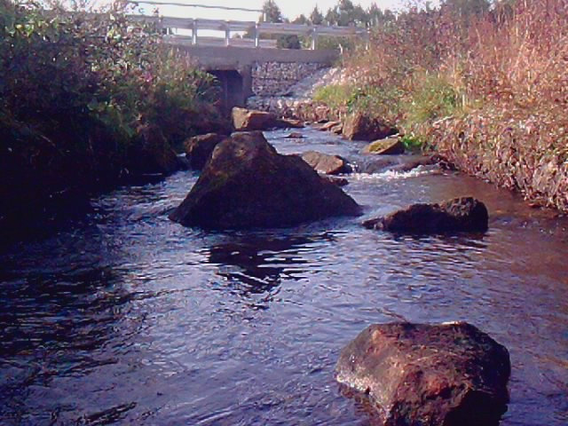Wpis klauduska1998