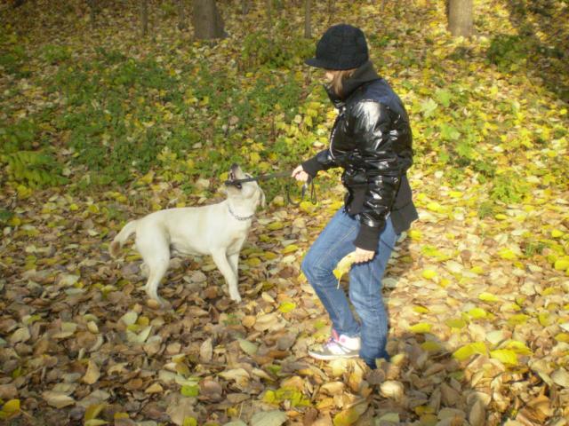 Wpis biedronka983