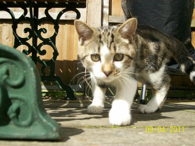 GizmooO! ;*