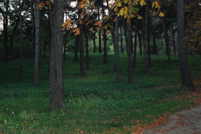 Przebudzenie