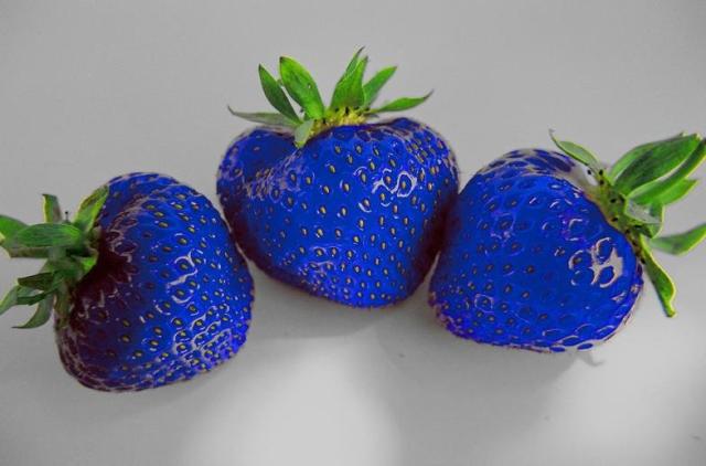 Blue Strawberry =D