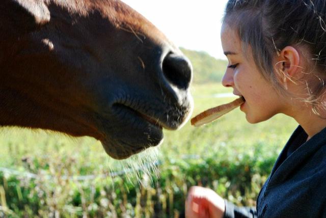 Wpis horsefreak
