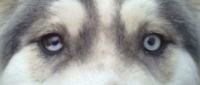 Oczka ;*