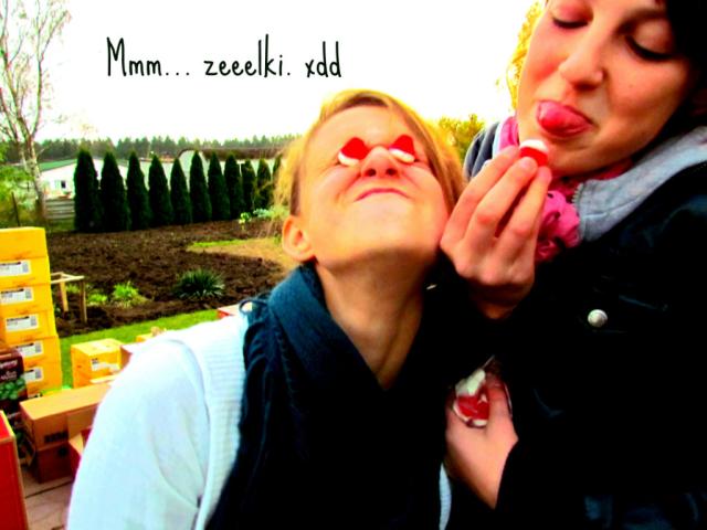 elki 