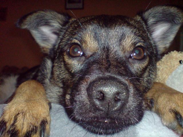 nesia ;)