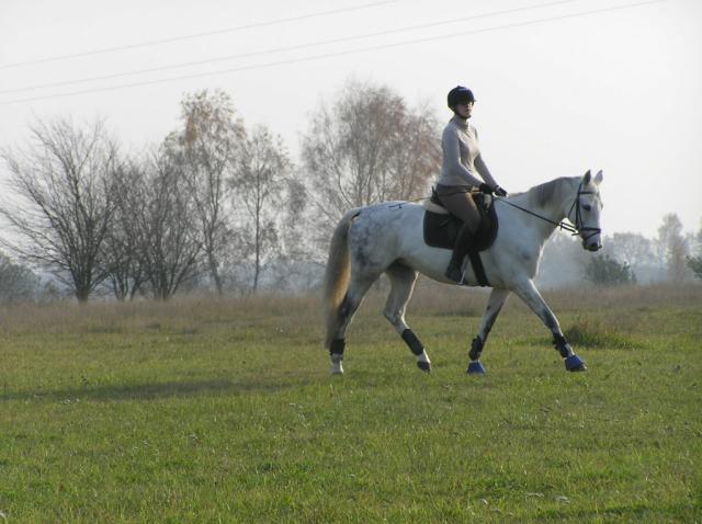 Zaniemyl