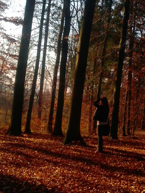 Wpis patrycja971
