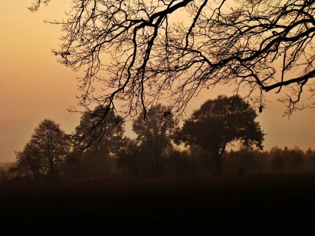 Autumn is beautiful