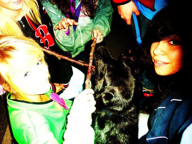 Staree. ; o