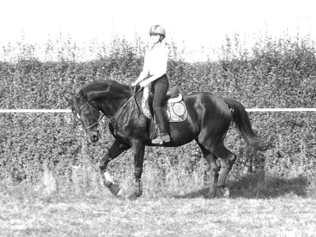 Poniedziek 
