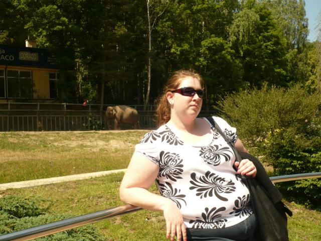 Szpan W Zoo 