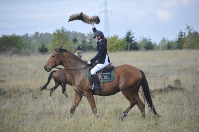 Hubertus2011
