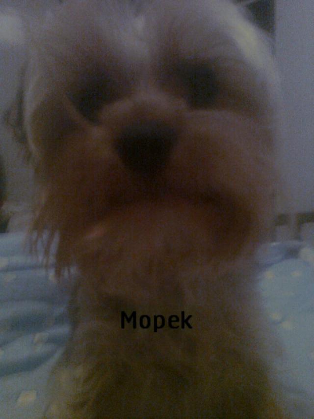 Wpis czarniutkaaaa