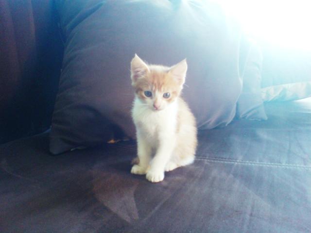 Rudu ;*