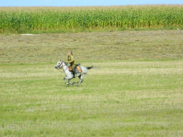 Komarw 2011