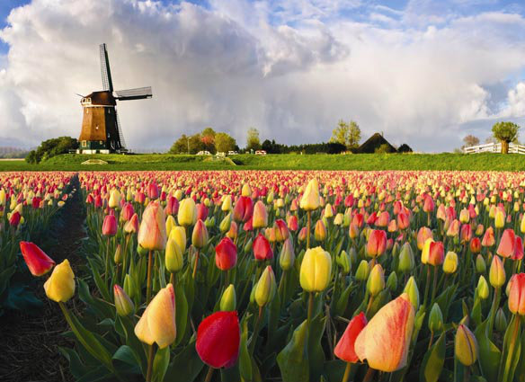 Echter, Netherland.