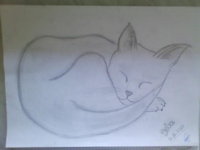Wpis sketcher94