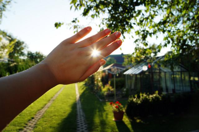 sunny day