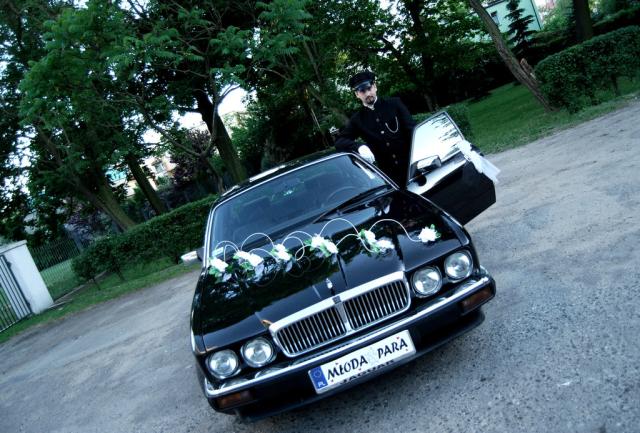 Najnisze ceny wynajmu aut!