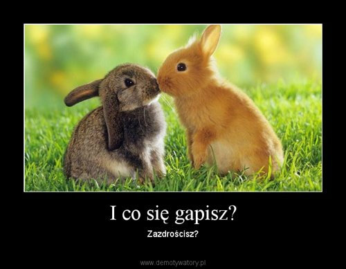 :*