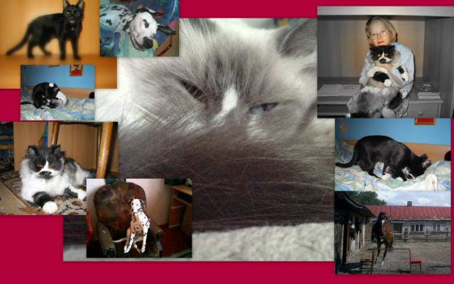 tych ktrych kocham i kochaam