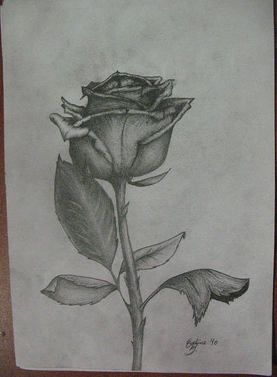 Dla Ciebie