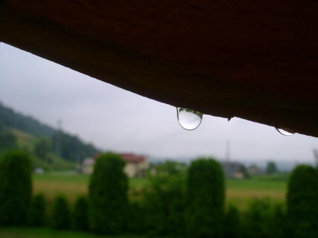 stskniona