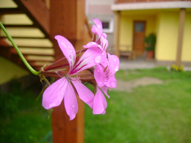 Wpis amaizingphoto