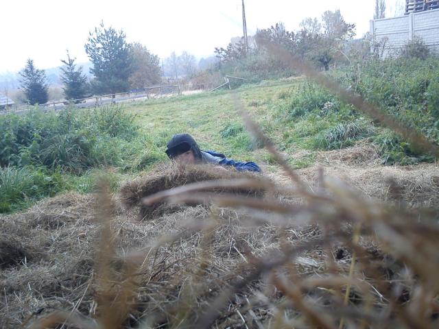 Buuu . ;d