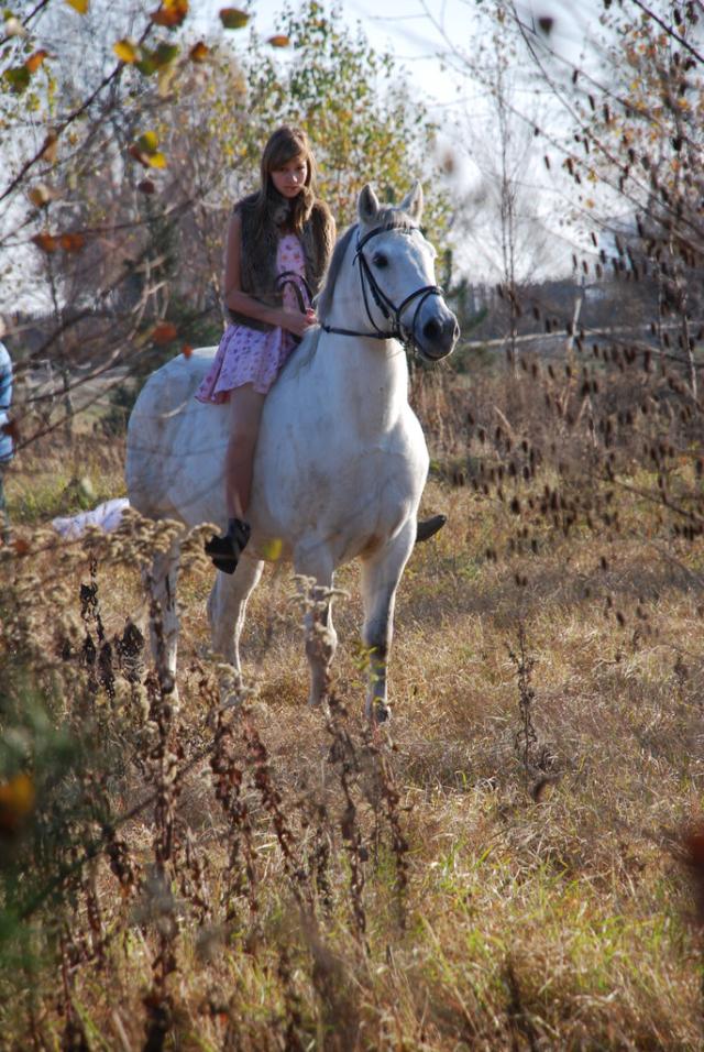 Wpis horsehorse
