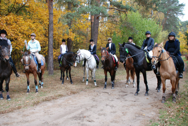 Wpis horsehorse