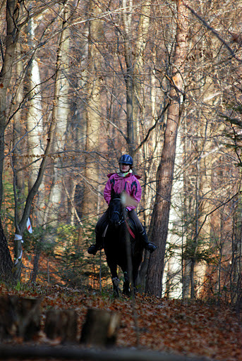 zagalopowanie