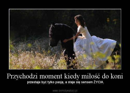 Wpis dziekujewamkonie