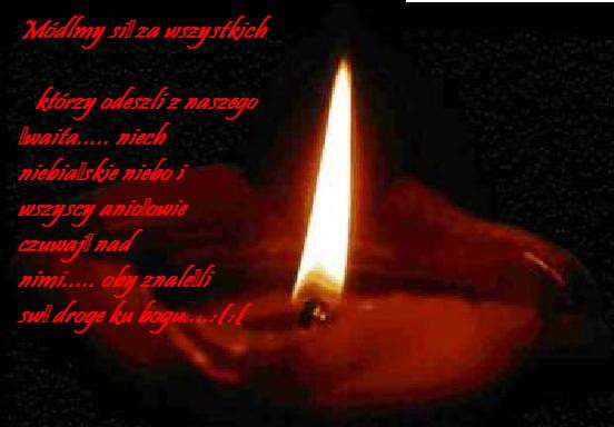 24.11.2oo8r. [*] 