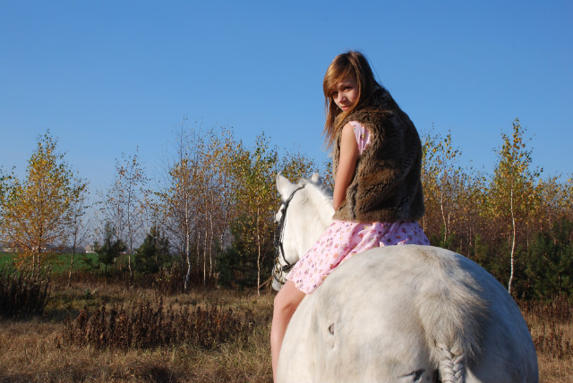 Wpis horsehorse