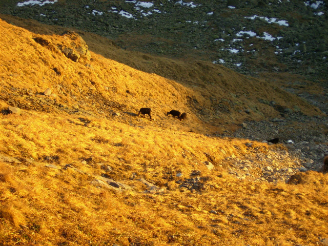 Tatry