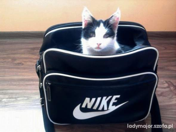 torba nike