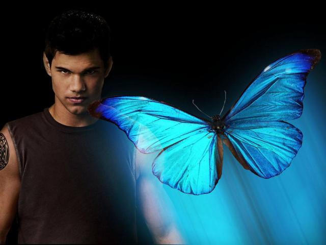 Tapeta Jacob Black