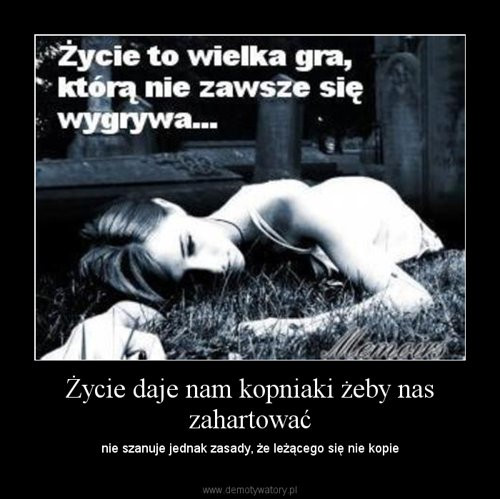 wszystko do du&#183;&#18